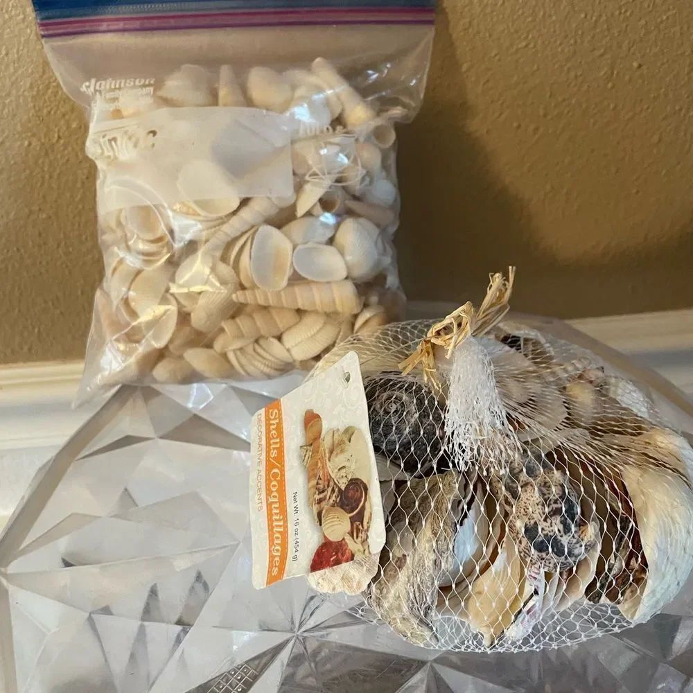 Seashell Lot - Picture 11 of 13
